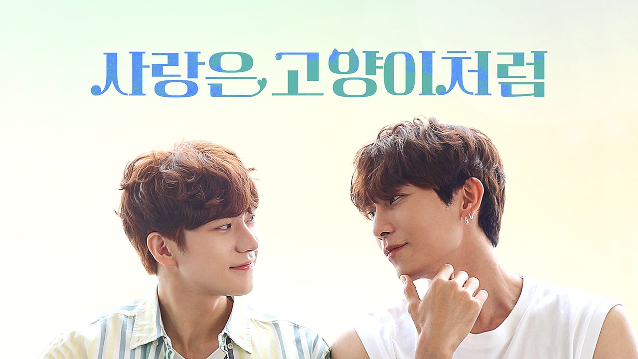 사랑은 고양이처럼