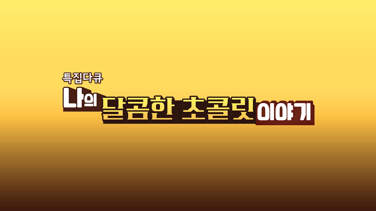 특집 다큐 나의 달콤한 초콜릿 이야기