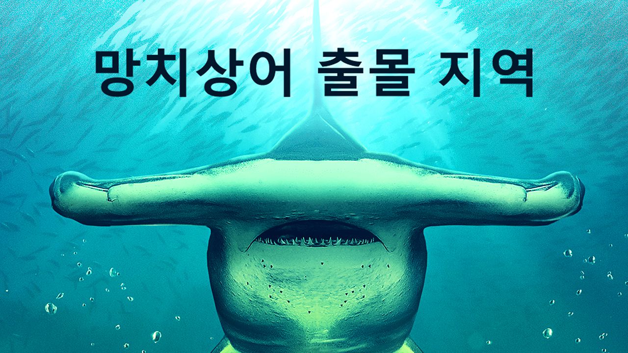 망치상어 출몰 지역