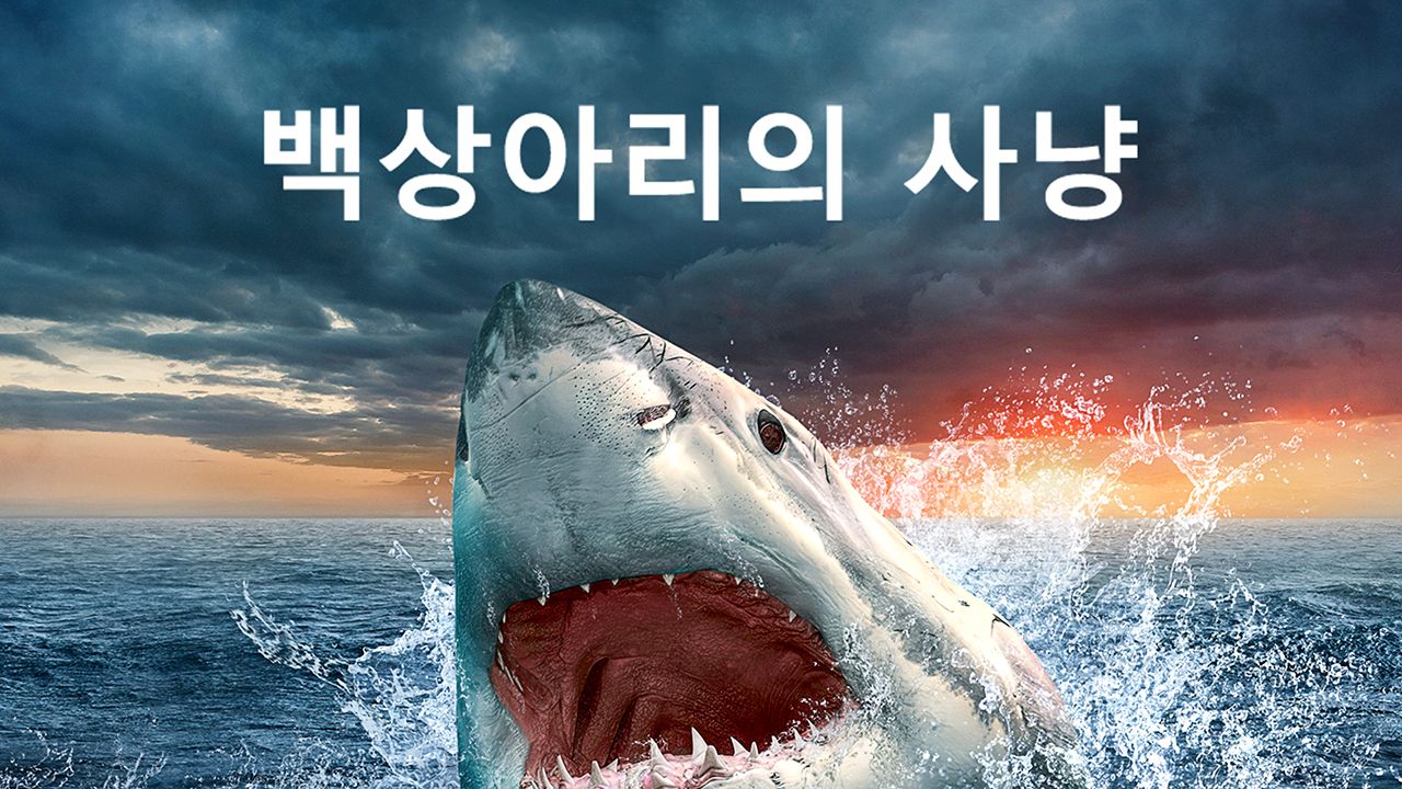 백상아리의 사냥