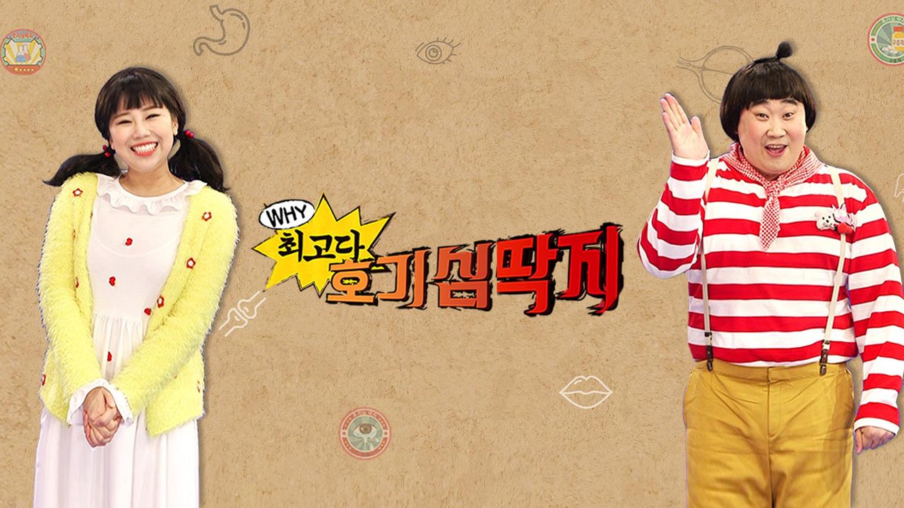 최고다! 호기심딱지