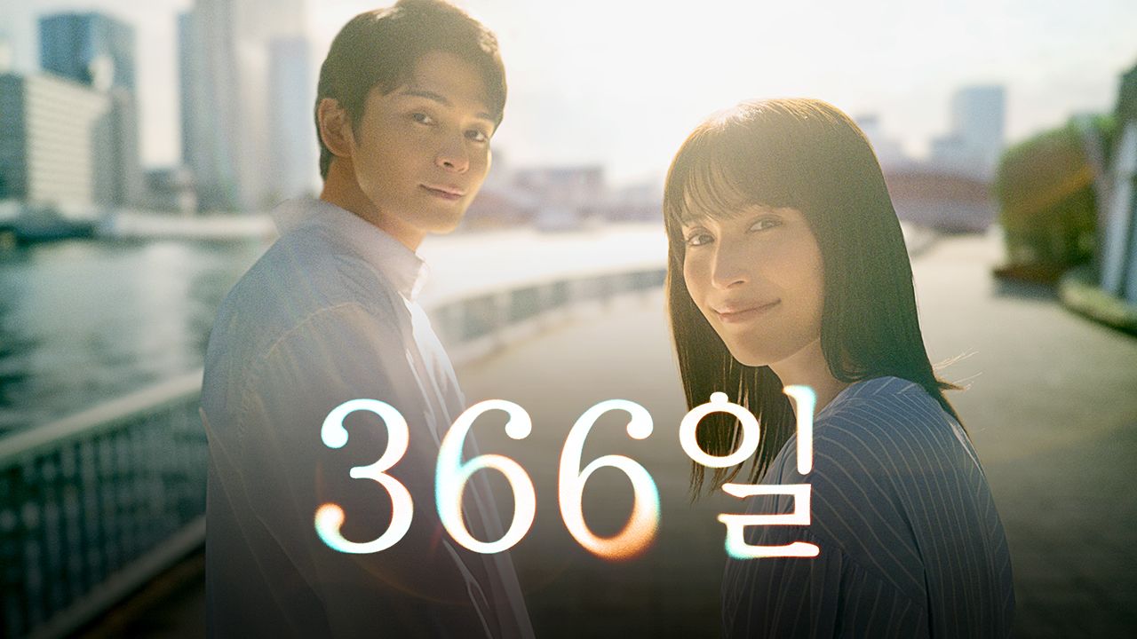 366일