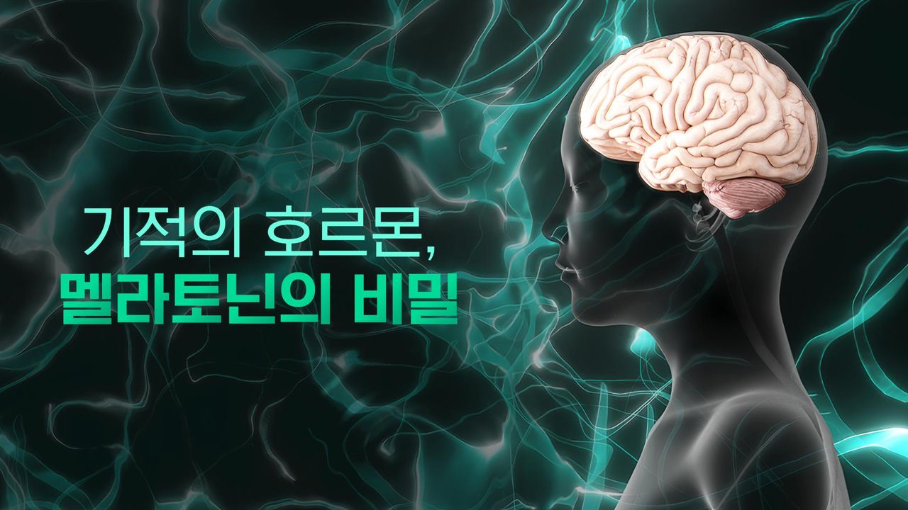 특별기획 기적의 호르몬, 멜라토닌의 비밀