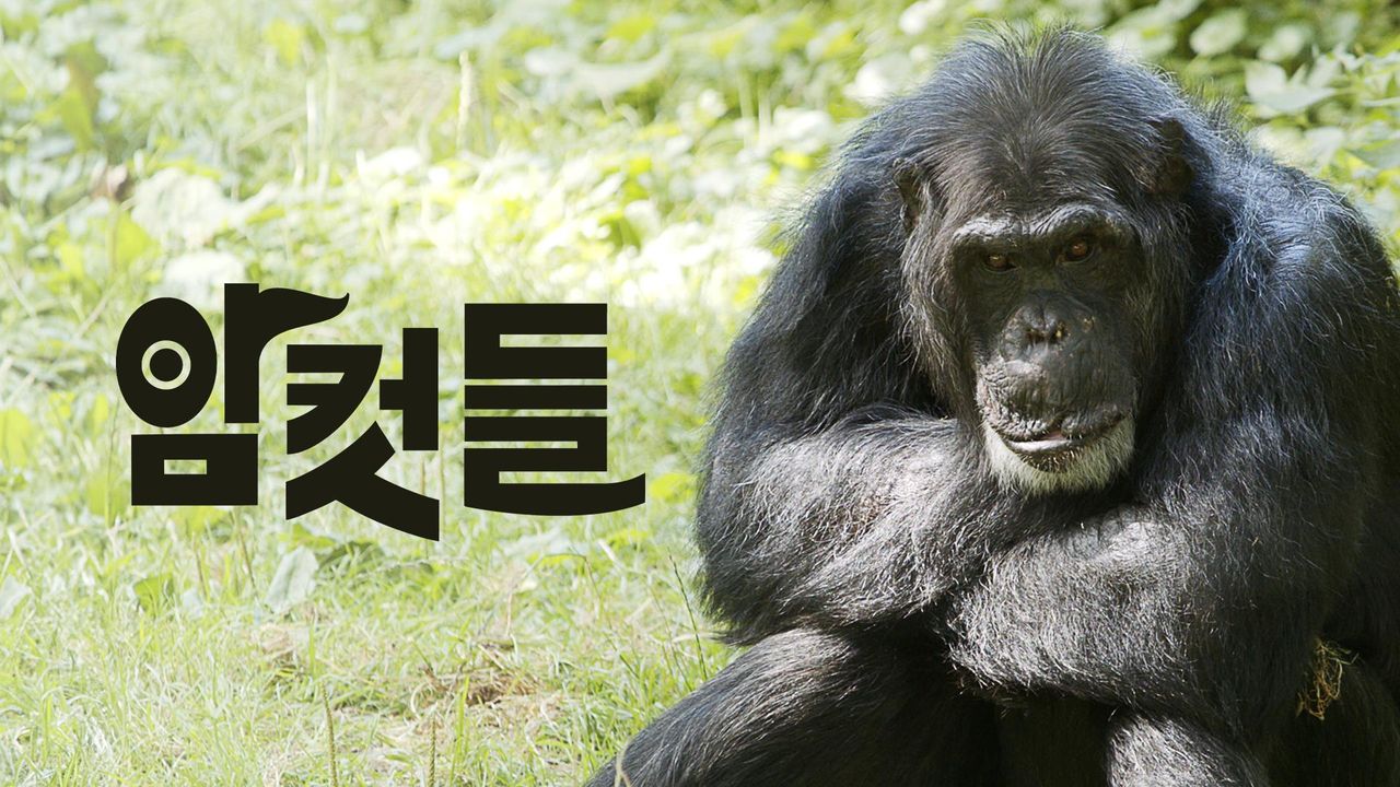 다큐프라임 - 암컷들