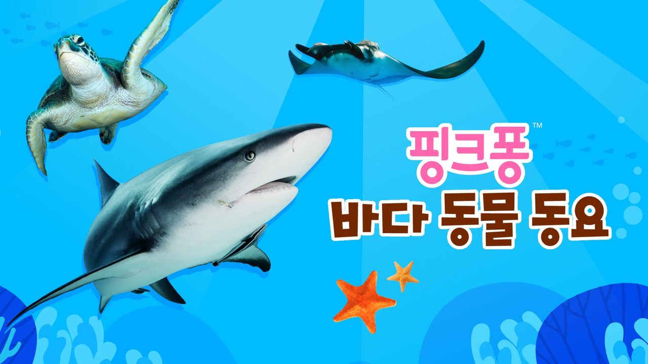 핑크퐁 바다 동물 동요
