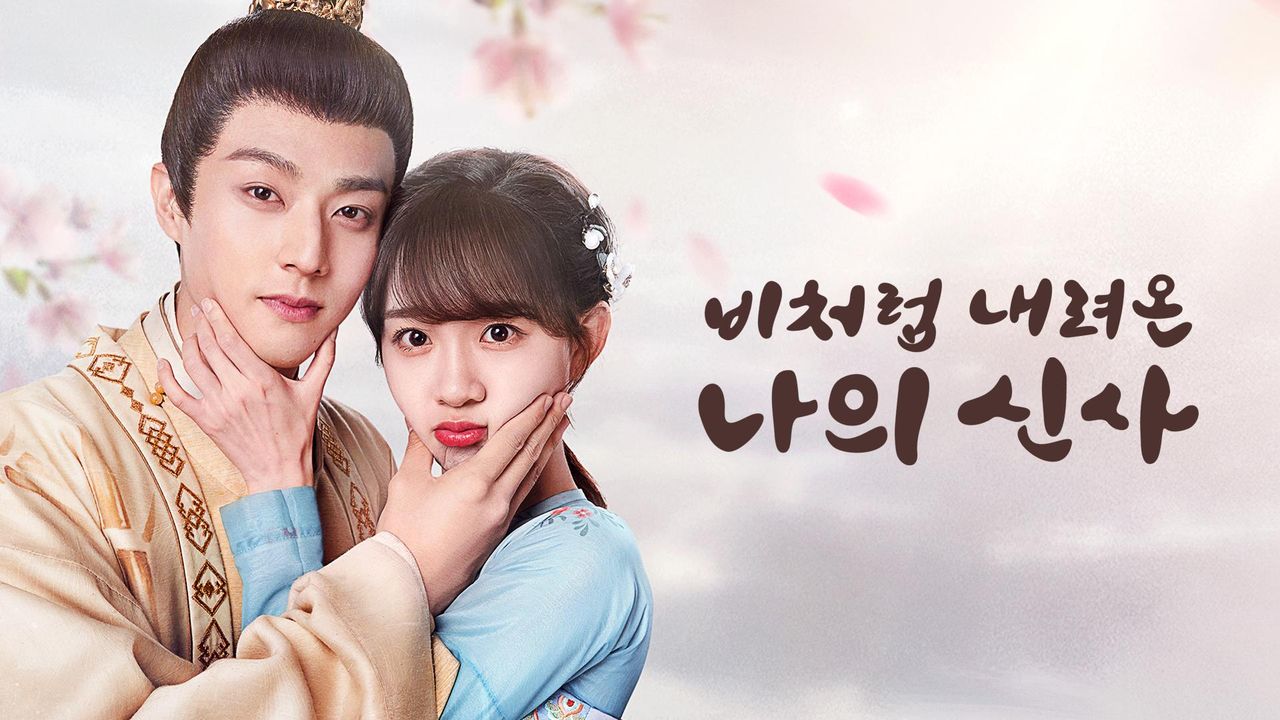 비처럼 내려온 나의 신사