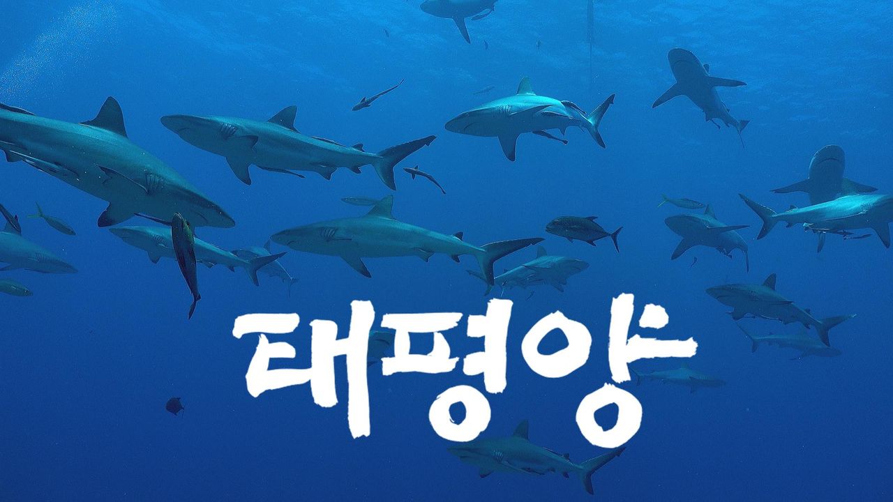 다큐프라임 - 태평양
