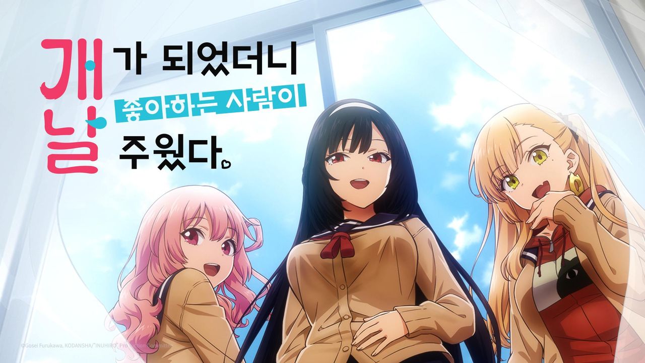 개가 되었더니 좋아하는 사람이 날 주웠다.