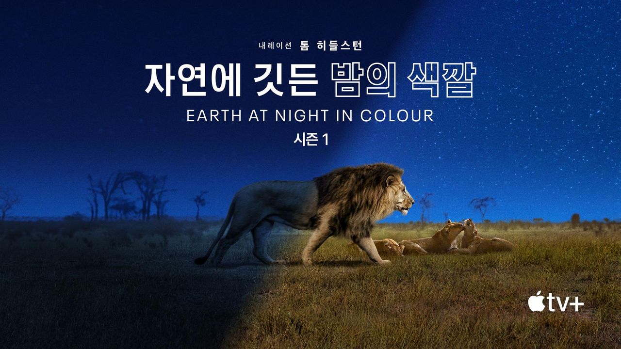 '자연에 깃든 밤의 색깔' - Earth at Night In Colour 시즌1