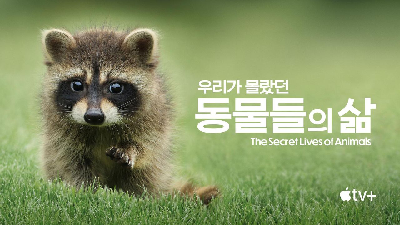 '우리가 몰랐던 동물들의 삶' - The Secret Lives of Animals 시즌1