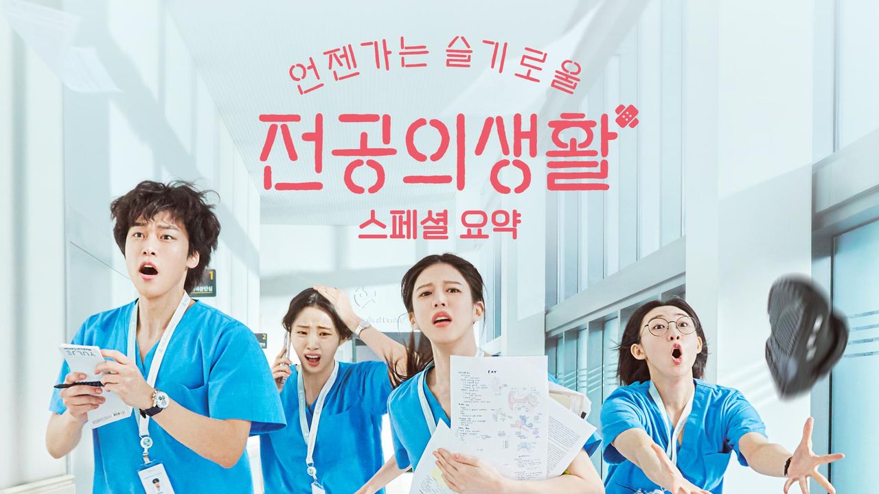 언젠가는 슬기로울 전공의생활 - 스페셜 요약