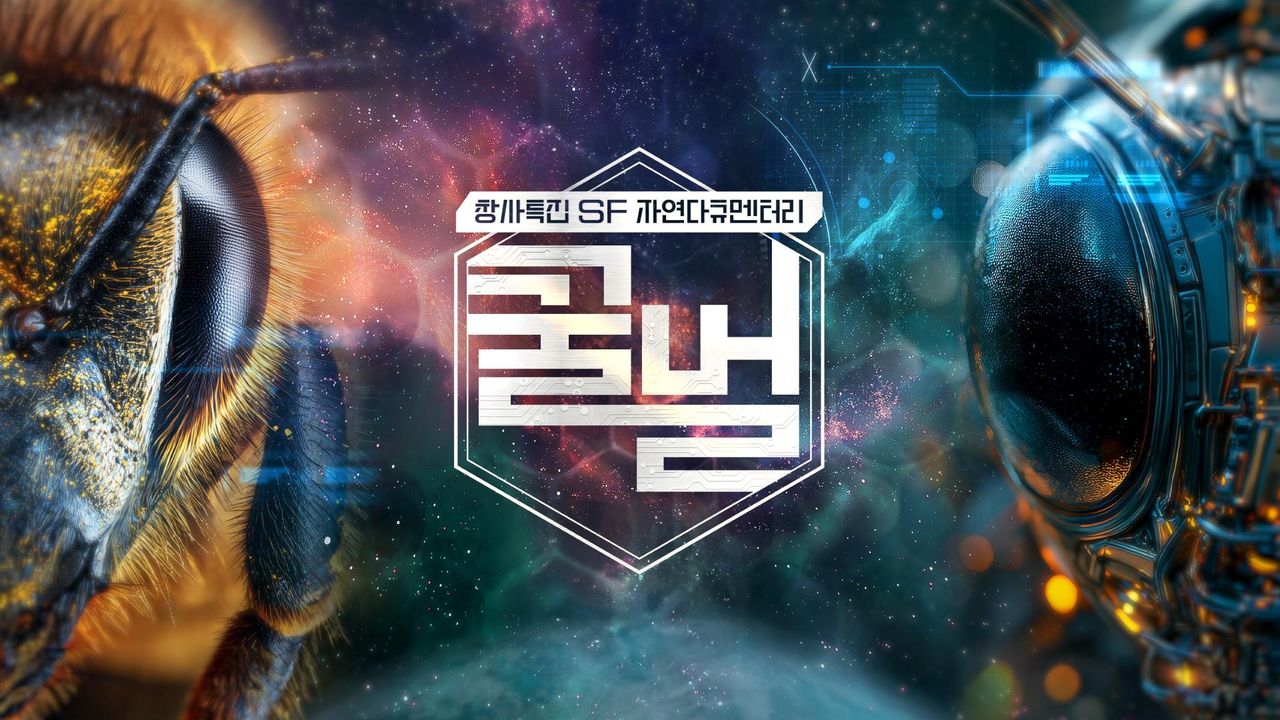 다큐프라임 - 꿀벌
