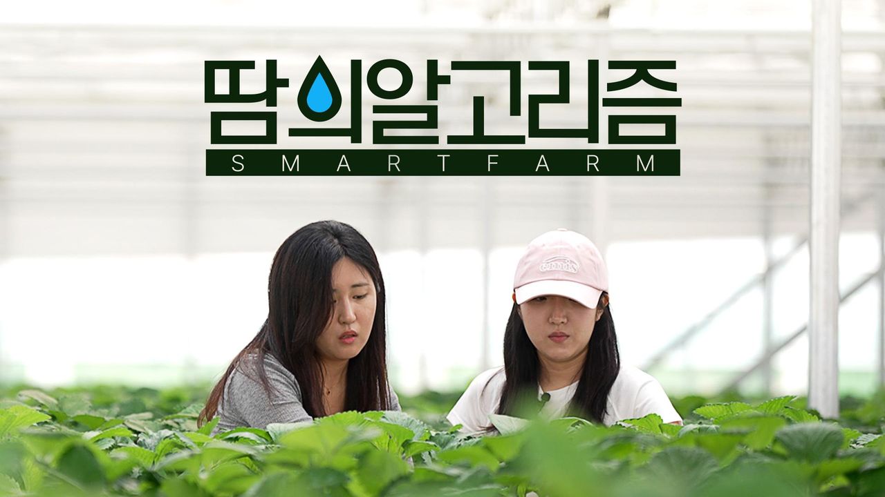 땀의 알고리즘 스마트팜