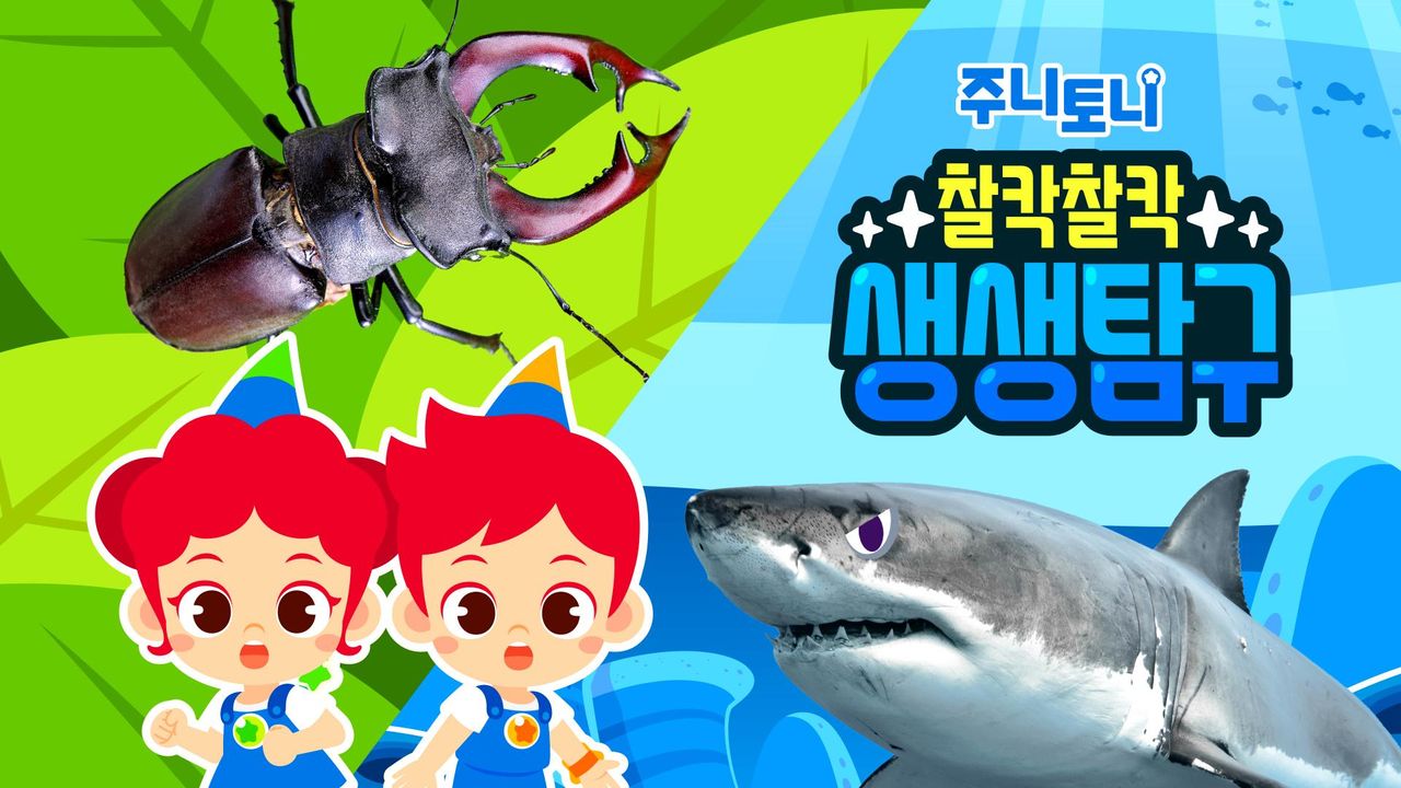 주니토니 찰칵찰칵 생생탐구