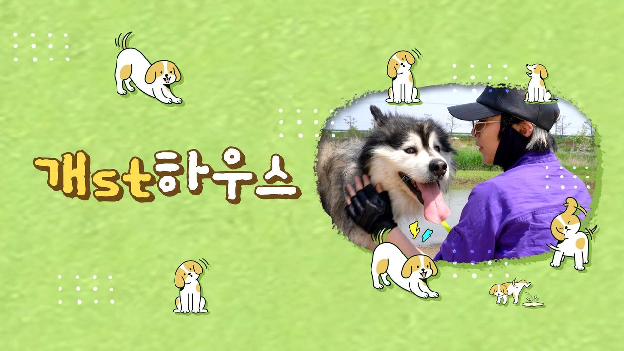 개st하우스
