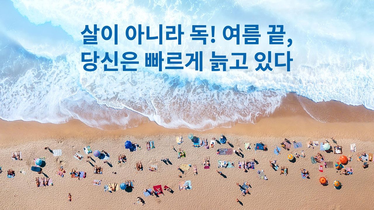 채널A 특별기획 살이 아니라 독! 여름 끝, 당신은 빠르게 늙고 있다