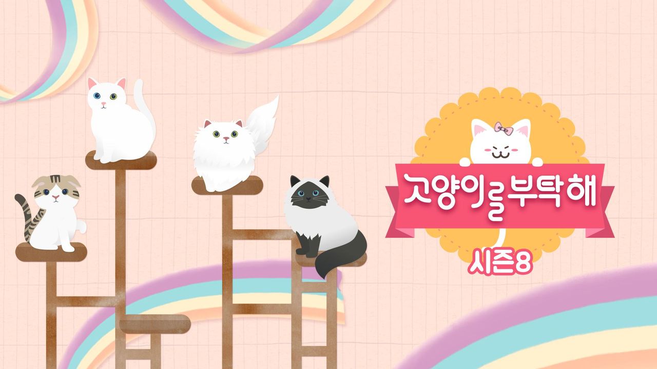 고양이를 부탁해 시즌8