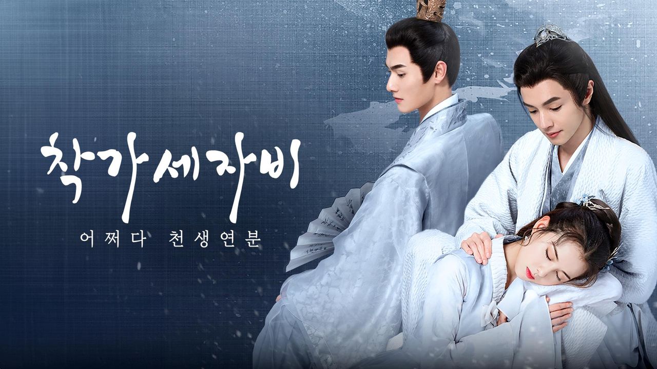 착가세자비 : 어쩌다 천생연분