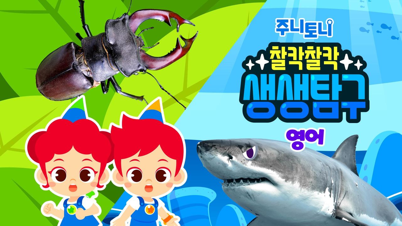 주니토니 찰칵찰칵 생생탐구 (영어)