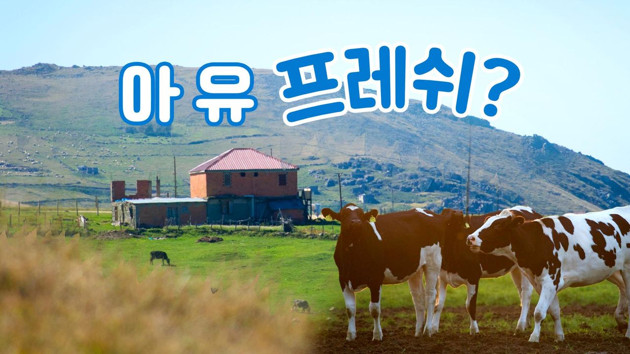 채널A 특별기획 아유 프레쉬?
