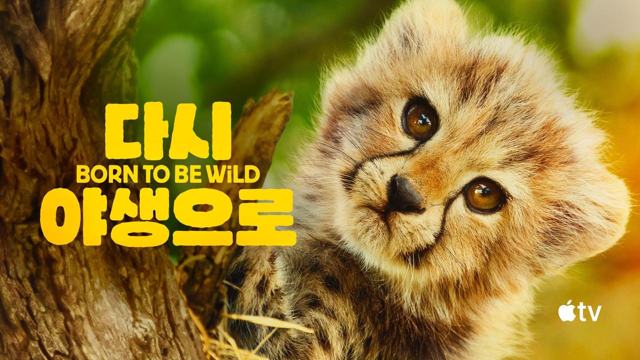 '다시, 야생으로' - Born to be Wild 시즌1