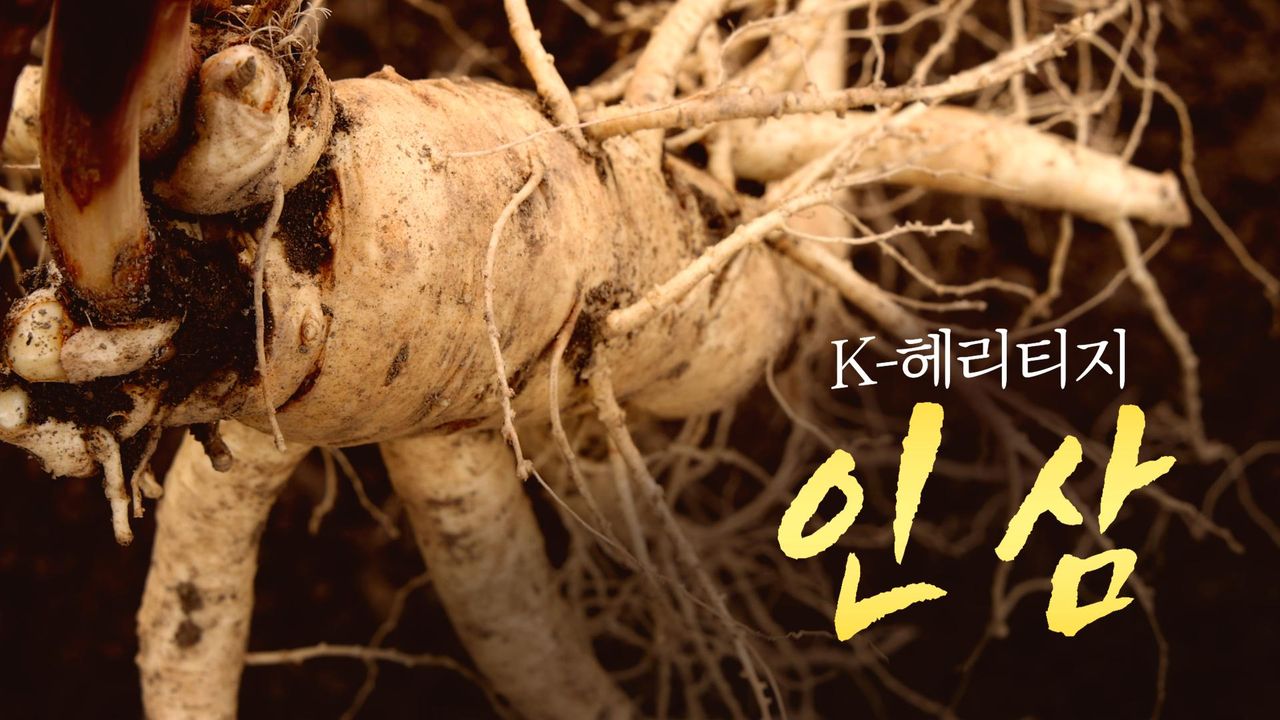 특별기획 K-헤리티지 인삼