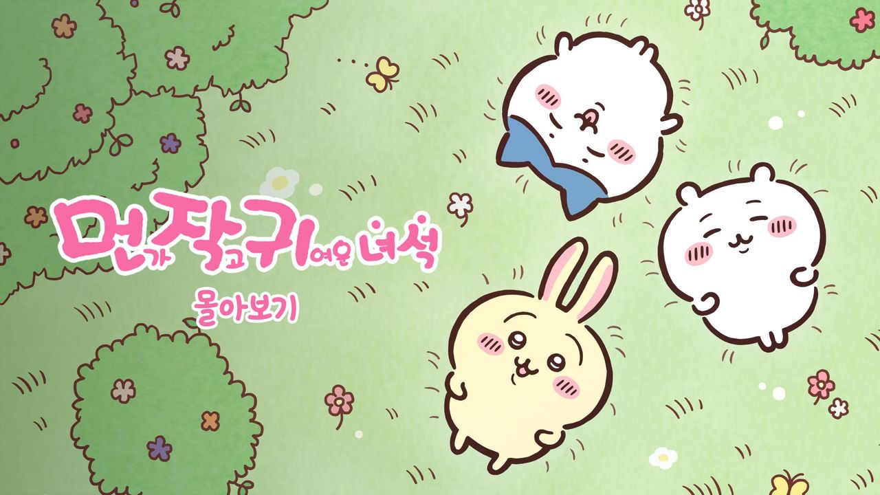 먼작귀 몰아보기