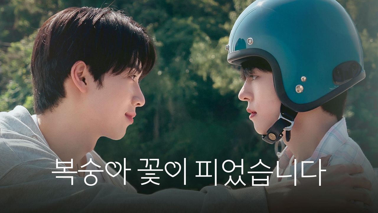 복숭아 꽃이 피었습니다