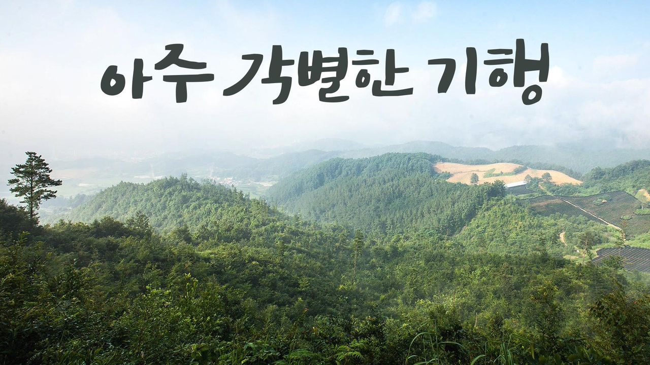 아주 각별한 기행