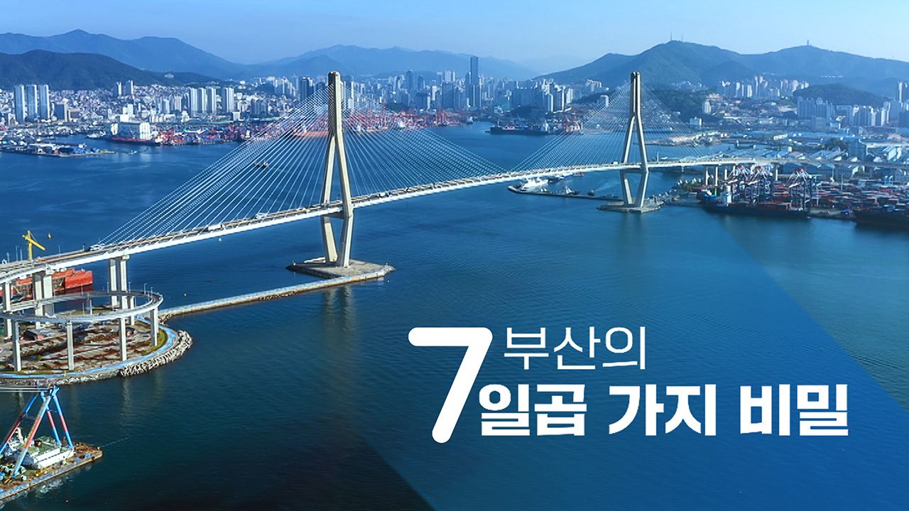 부산의 일곱 가지 비밀