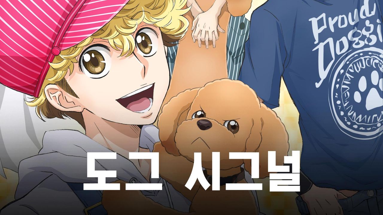 도그 시그널