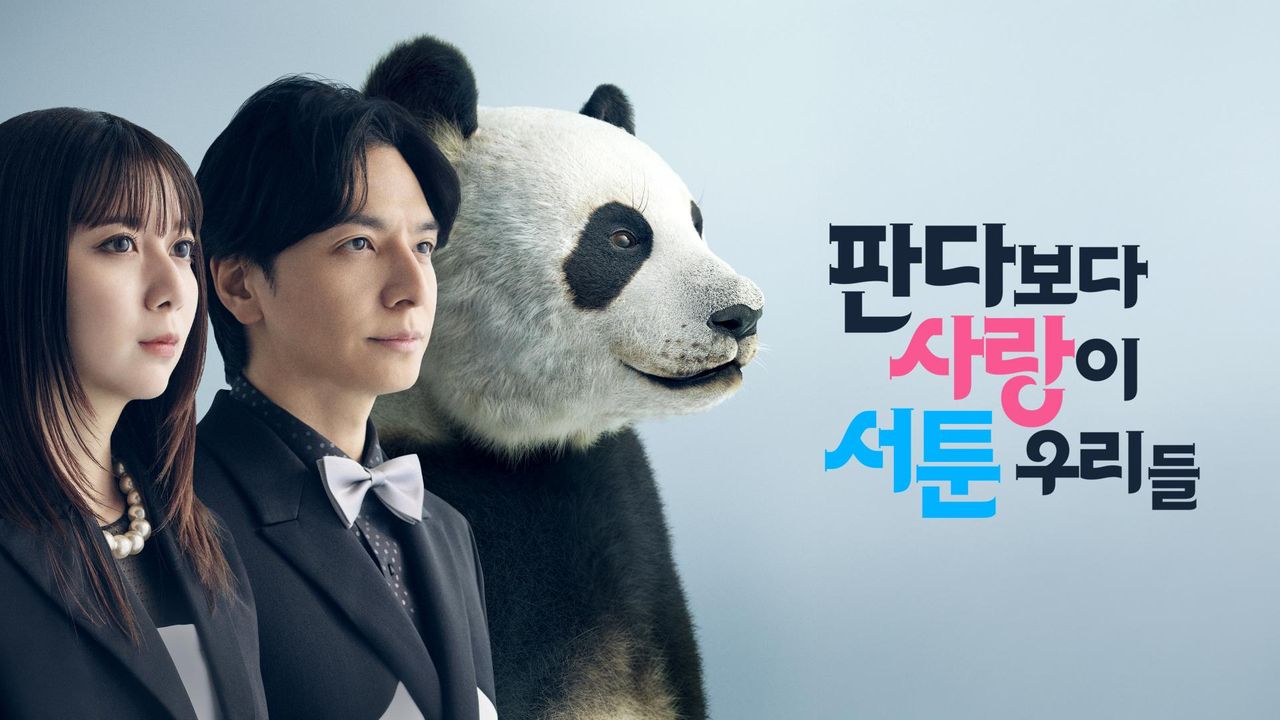 판다보다 사랑이 서툰 우리들