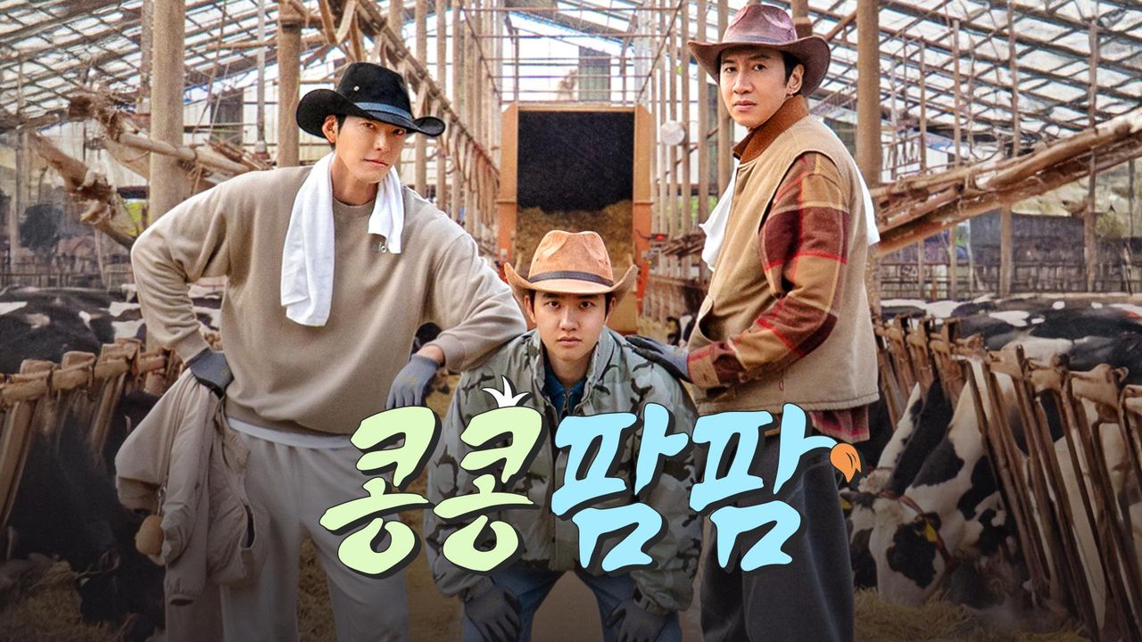 콩콩팜팜
