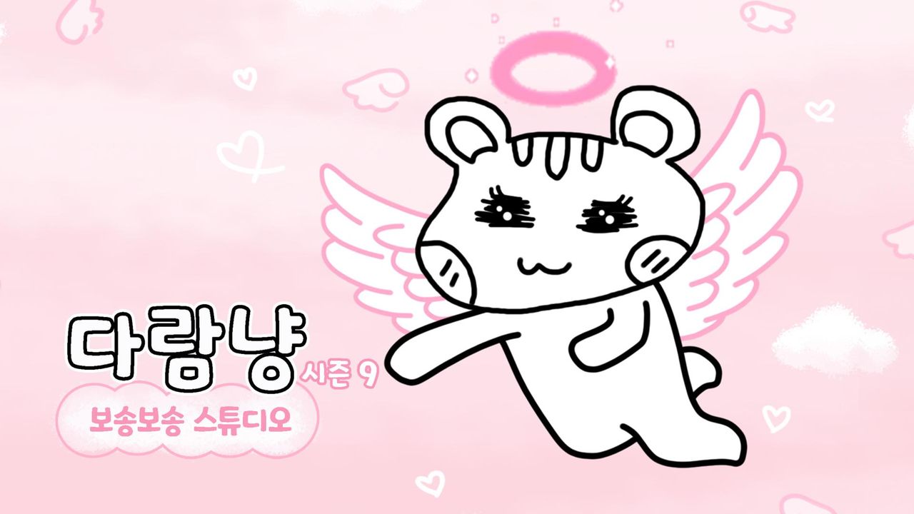 다람냥 시즌 9 - 보송보송 스튜디오
