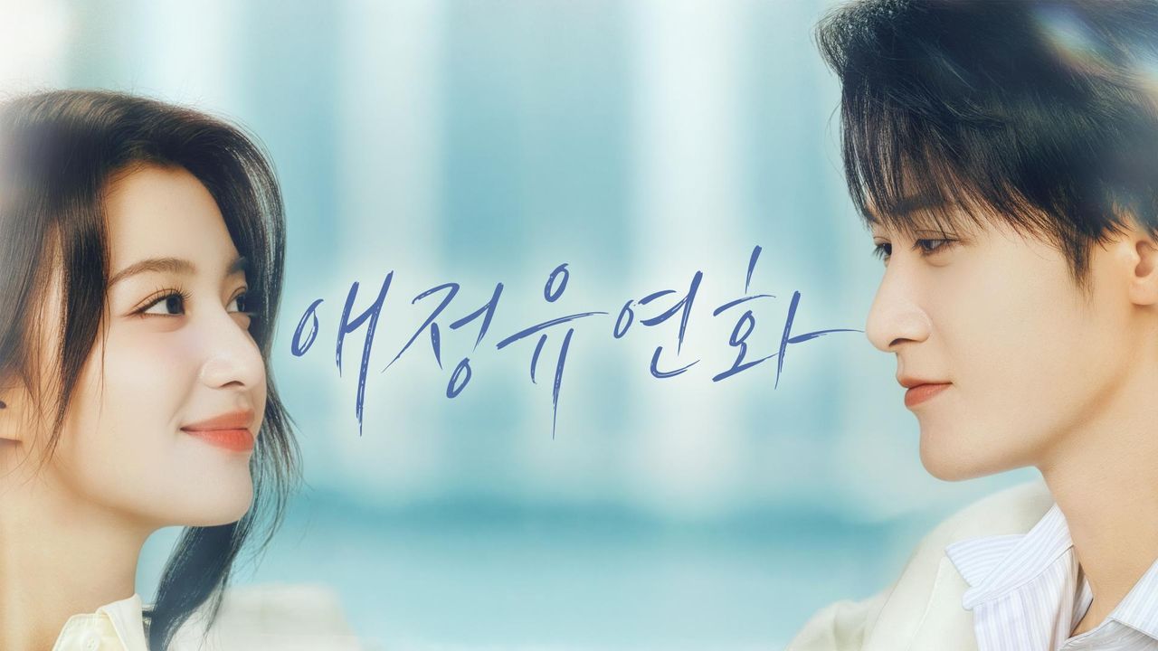 애정유연화