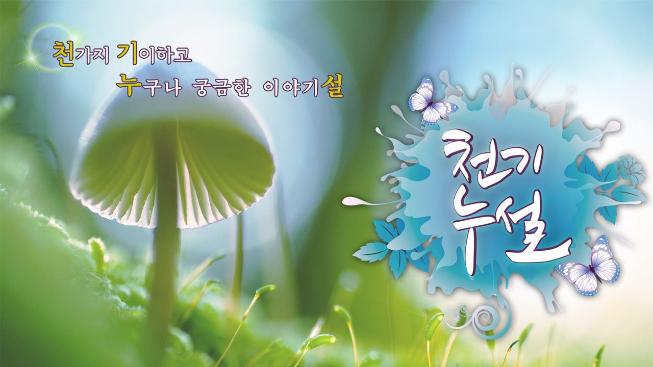 천기누설
