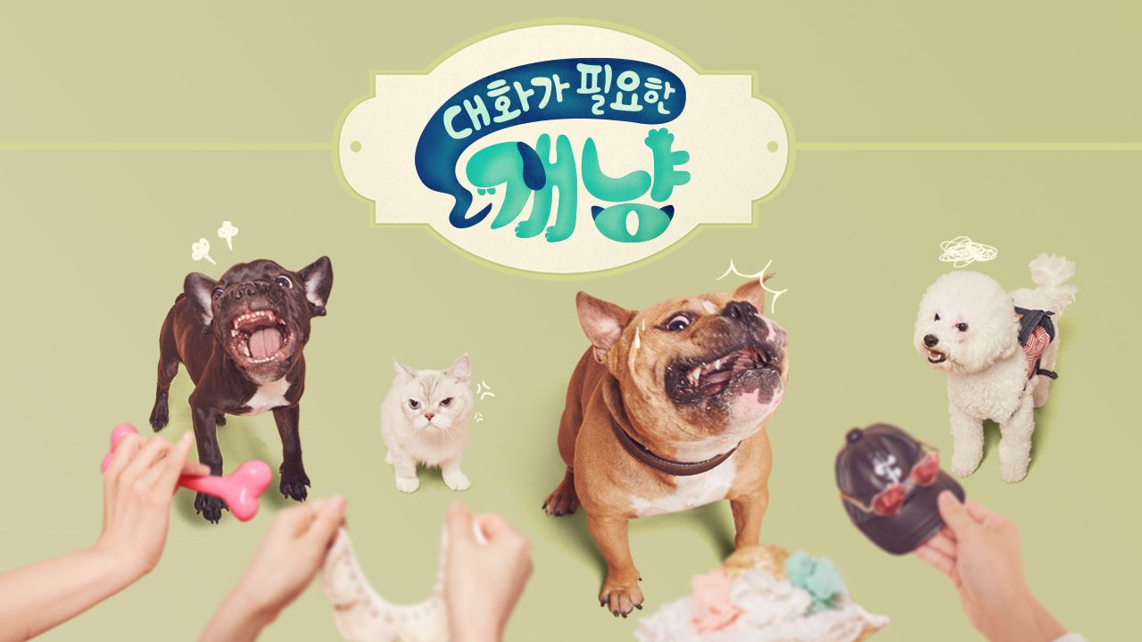 대화가 필요한 개냥