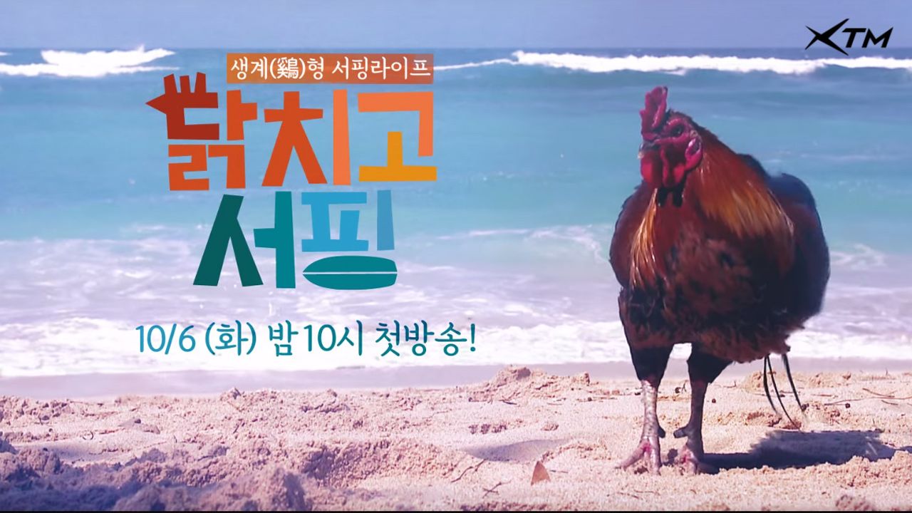 닭치고 서핑