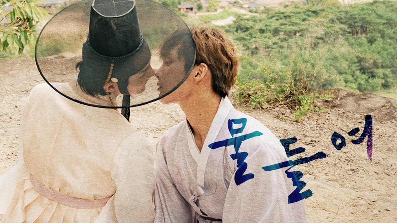 물들여