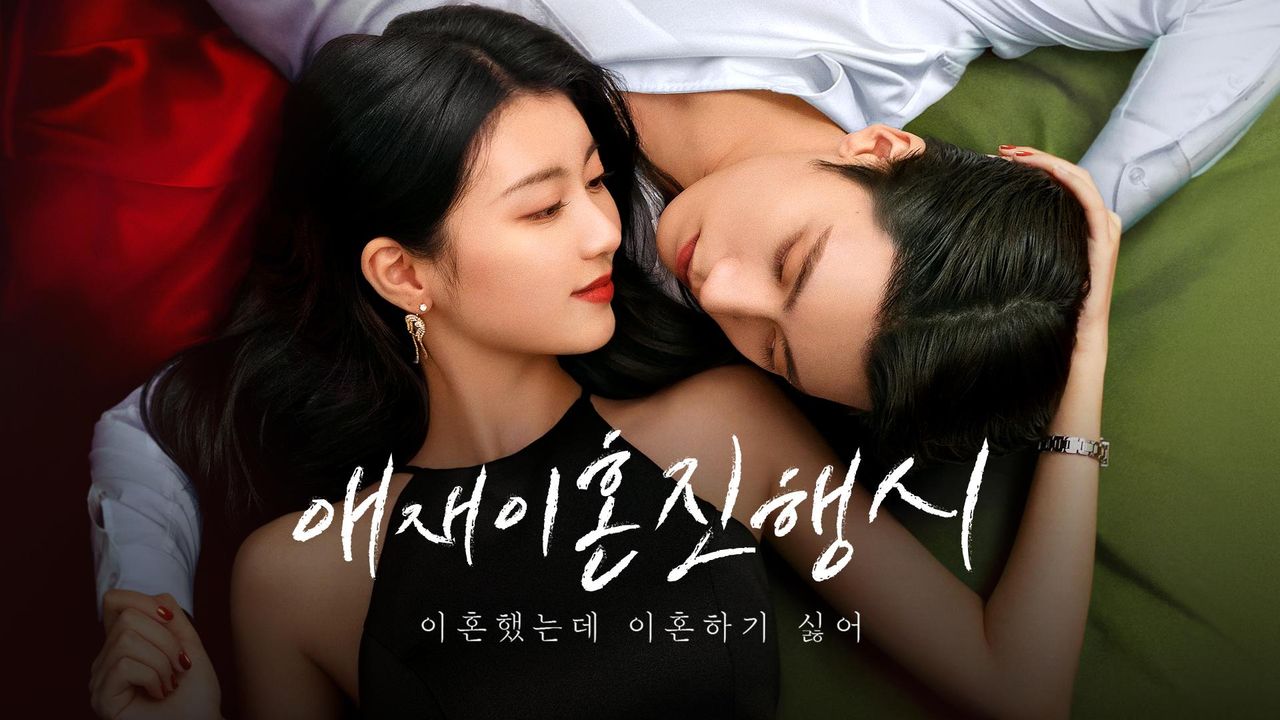 애재이혼진행시 : 이혼했지만 이혼하기 싫어