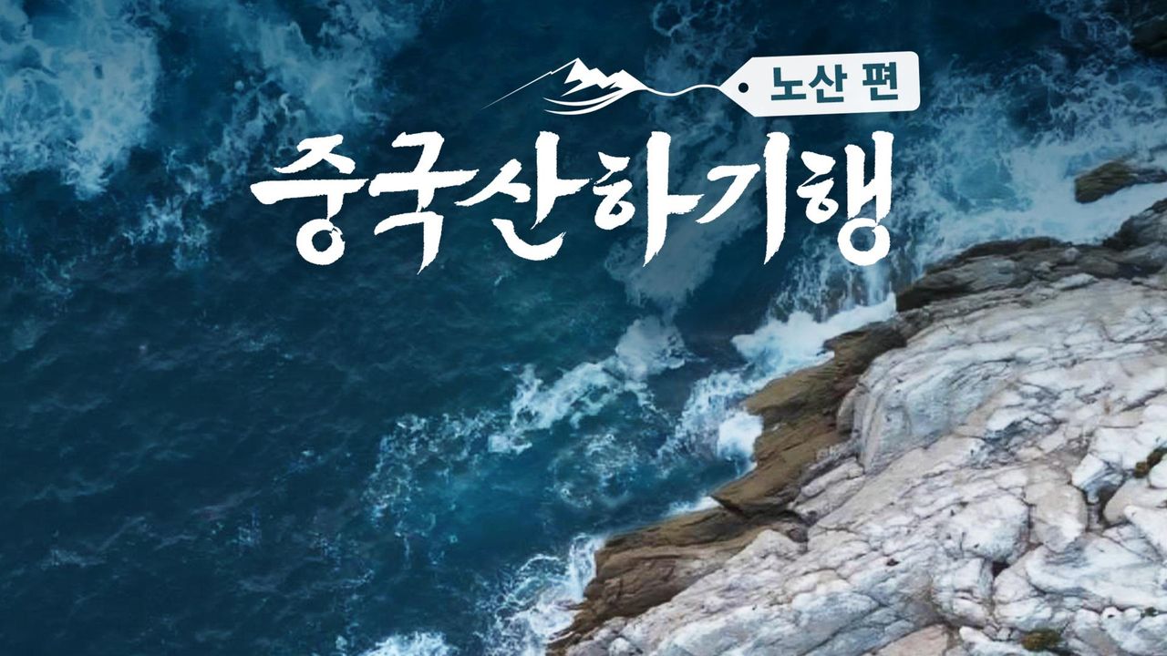 중국산하기행 : 노산 편