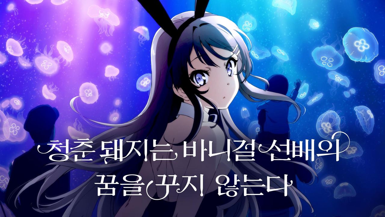 청춘 돼지는 바니걸 선배의 꿈을 꾸지 않는다