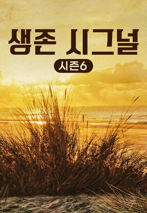 생존 시그널 시즌6