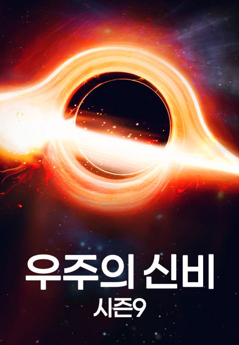우주의 신비 시즌9