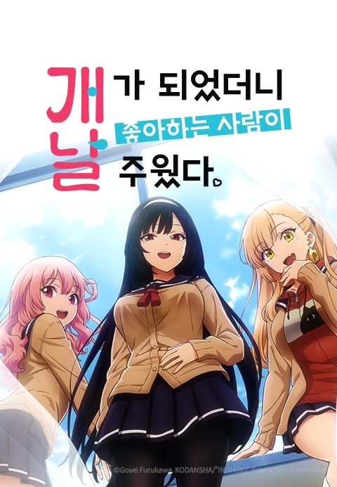 개가 되었더니 좋아하는 사람이 날 주웠다.