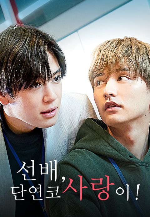 선배, 단연코 사랑이!