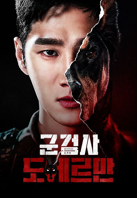 군검사 도베르만