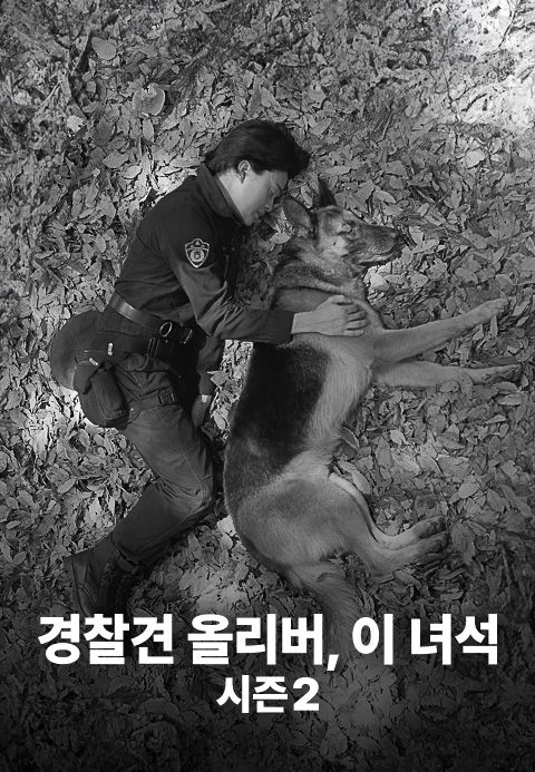 경찰견 올리버, 이 녀석 시즌2