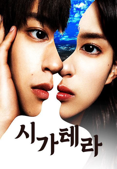 시가테라