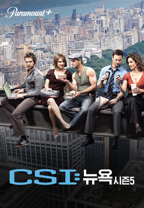 CSI 뉴욕 시즌5